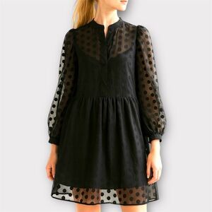 H&M Sheer Black Polka Dot Dress
